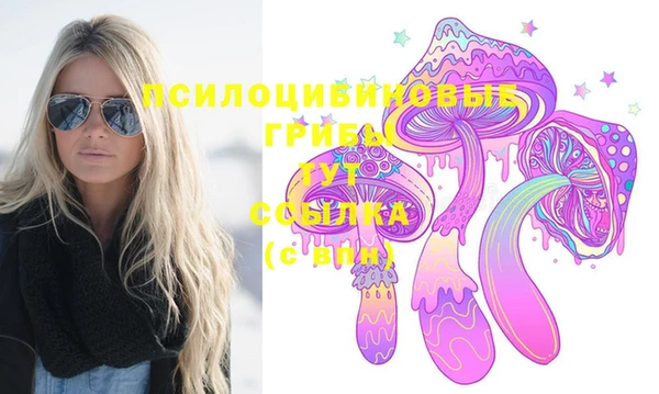 spice Дмитровск