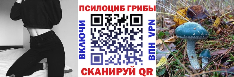 где можно купить наркотик  Буйнакск  Галлюциногенные грибы мухоморы 