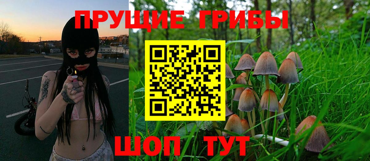Буйнакск  Псилоцибиновые грибы ЛСД  Псилоцибиновые грибы Psilocybe  Вход с VPN 