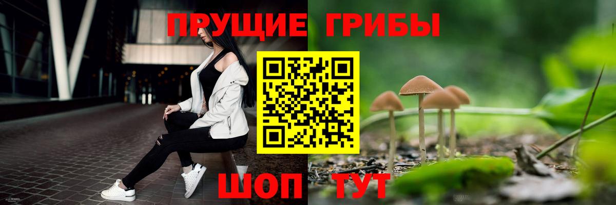 Галлюциногенные грибы Magic Shrooms Буйнакск